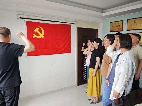 嚴(yán)守八項(xiàng)規(guī)定 喜迎“七一”華誕——集團(tuán)公司咨詢黨支部組織開展迎“七一”主題黨日活動